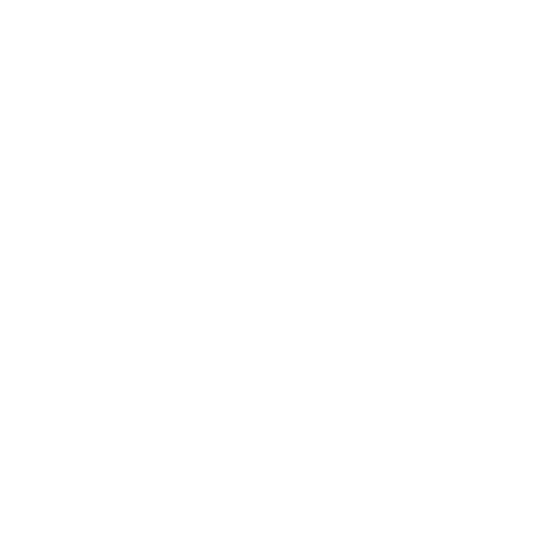 icon2 1 white.png