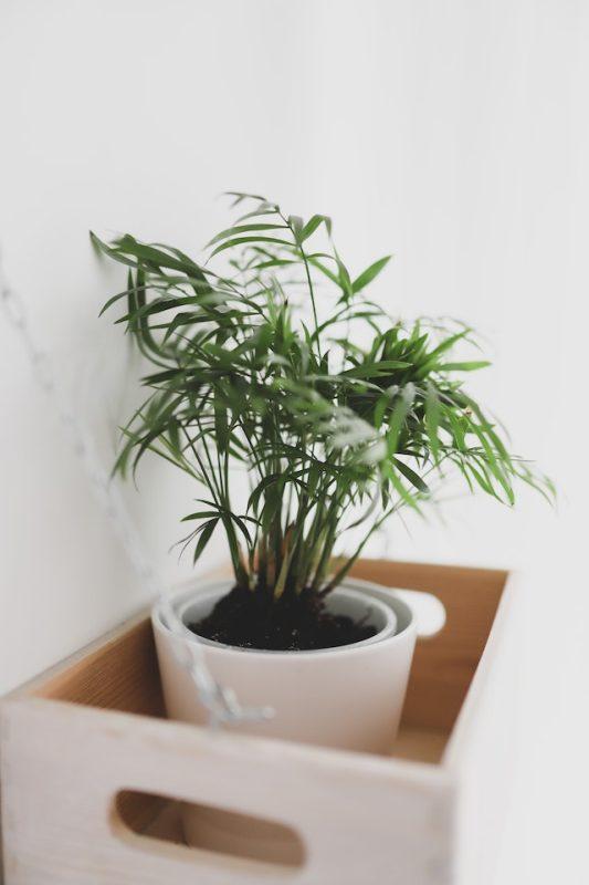 bambou artificiel dans une belle vase blanche
