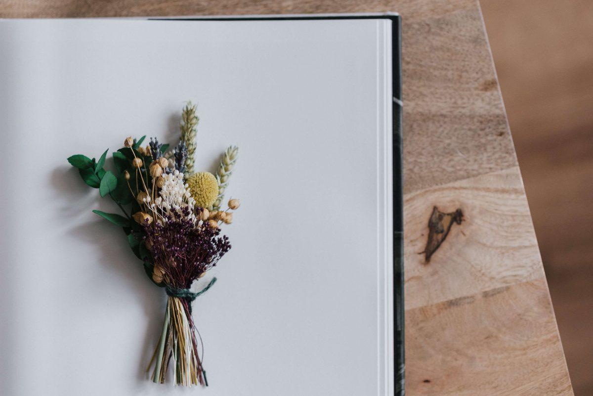 plantes sur un album