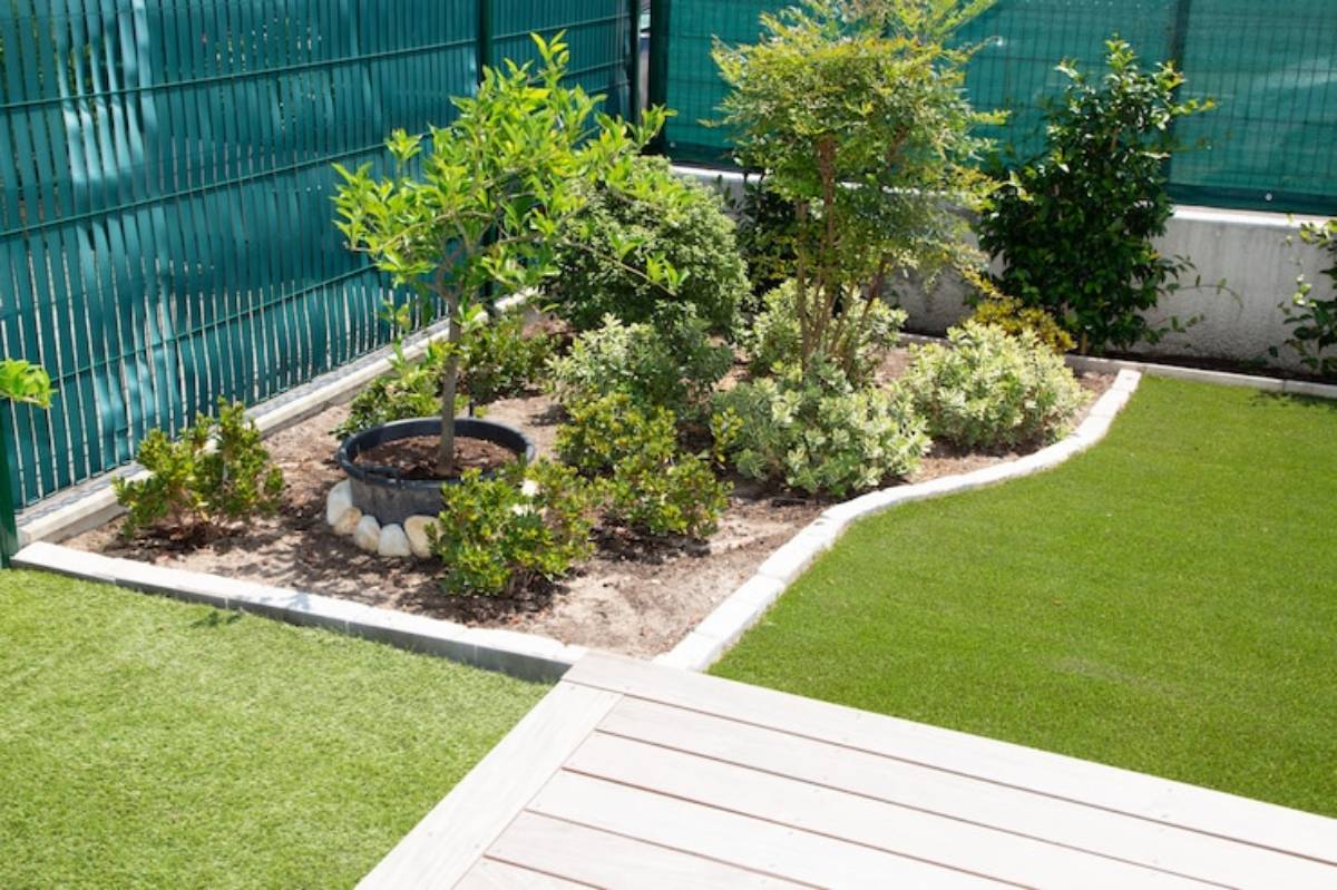 belle plante naturelle et cloture de jardin