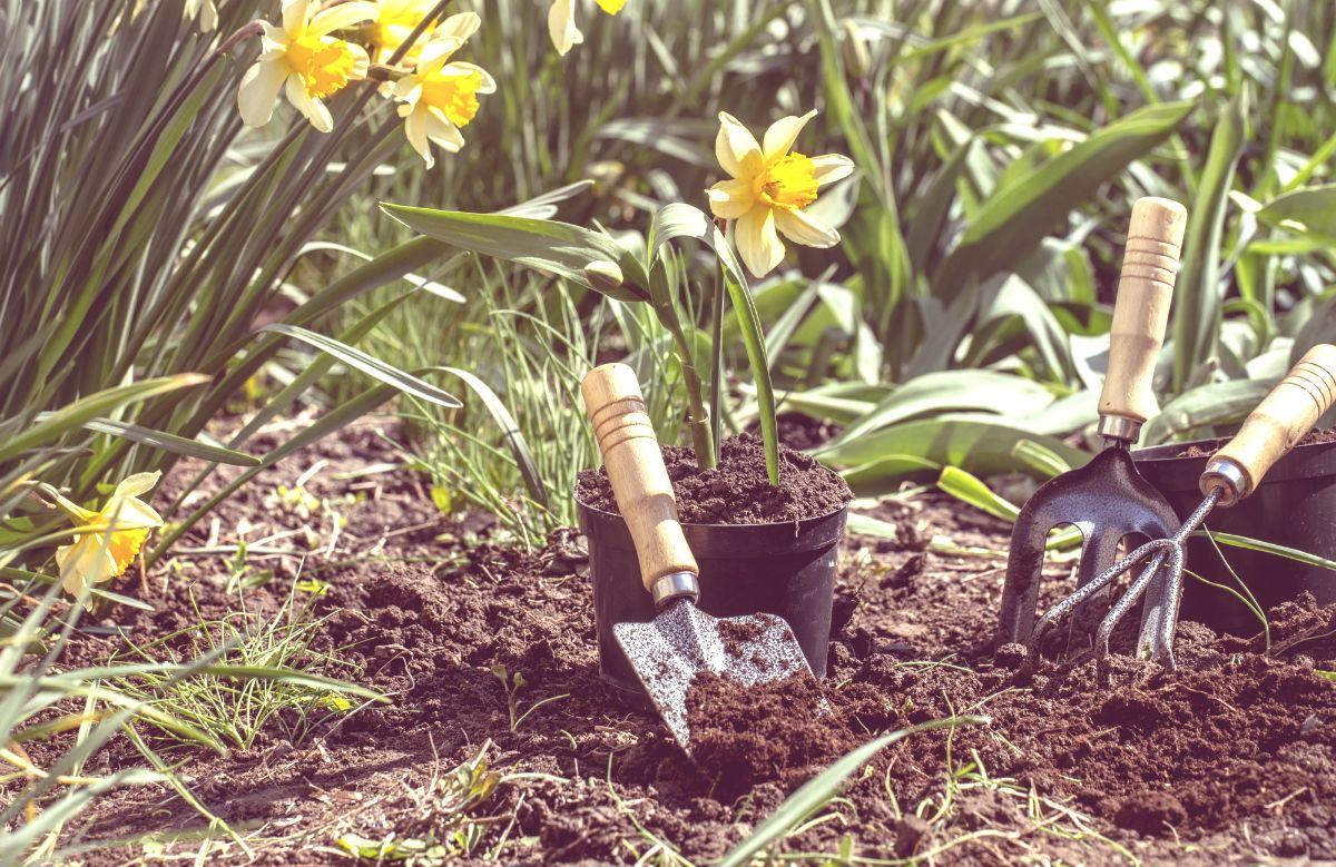 traiter-un-jardin