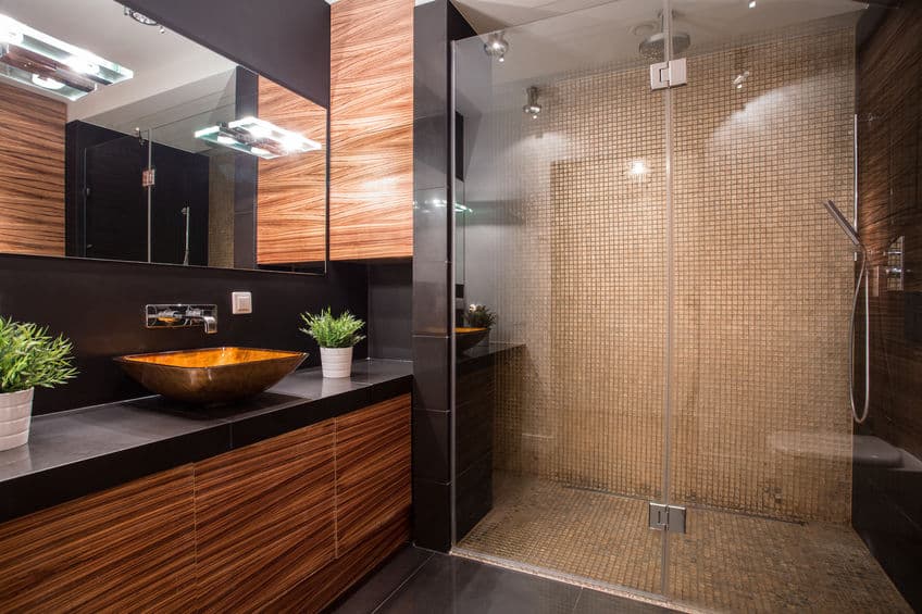 bathroom with fancy shower